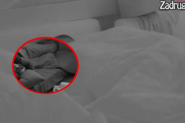 UHVAĆENI! UVUKAO MU SE U KREVET, LIZAO GA I ZASPALI ZAGRLJENI: Ovo niste imali priliku da vidite! SVE SNIMLJENO