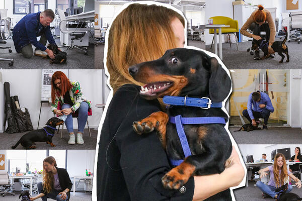 JAZAVIČAR TERAPEUT IZNENADIO EKIPU ESPRESA: Ušetao je u REDAKCIJU i dao SUD, usrećio je svakog koga je SREO! VIDEO