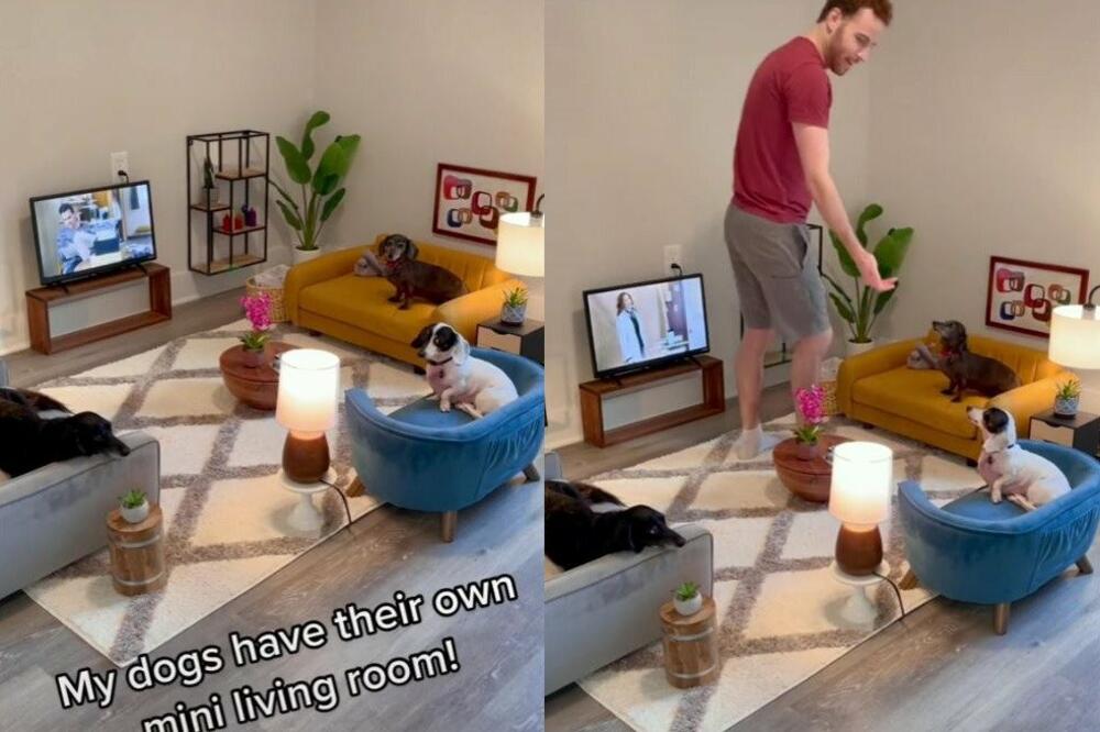 KAKAV MAJSTOR! Svojim psima napravio PRAVU DNEVNU SOBU, bez REČI ostavlja! (VIDEO)