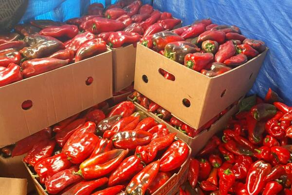 Koliko košta zimnica ove godine? Tegla ajvara skuplja od kilograma mesa, skače i cena paprike