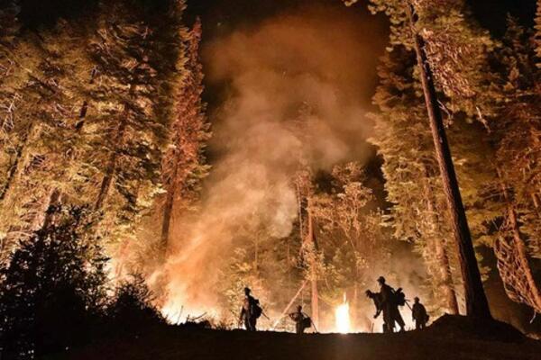 VISOK I GUST DIM ŠIRI SE NA VJETRANICI: Vatrogasci se bore sa vatrenom stihijom kod Gračanice