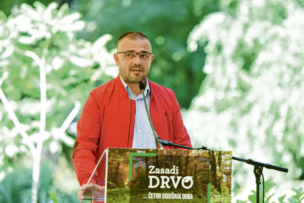 Zasadi drvo