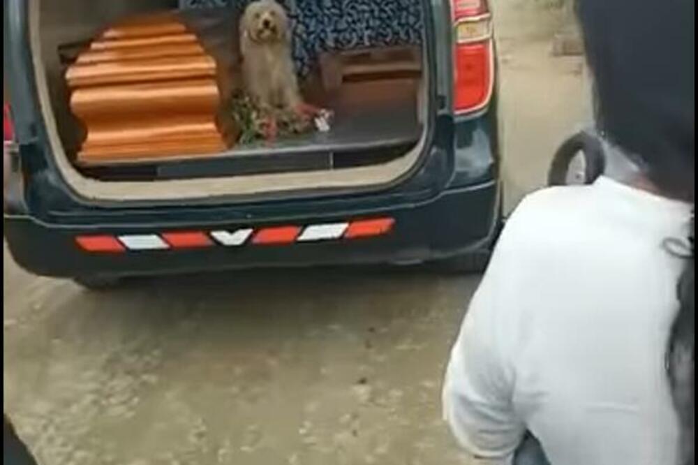 VEČNA LJUBAV: Dok su mu sahranjivali vlasnicu, pas je uradio nešto što će vas DIRNUTI U SRCE! (VIDEO)
