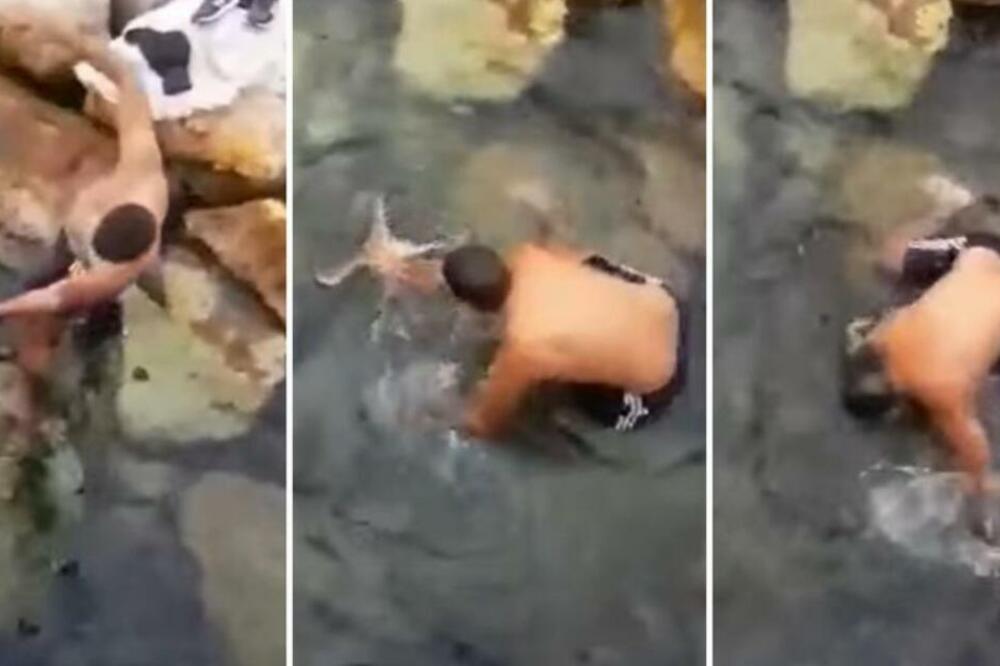 URNEBESAN VIDEO IZ DALMACIJE ZAPALIO MREŽE: Evo kako je muškarac GOLIM RUKAMA uhvatio hobotnicu! (VIDEO)