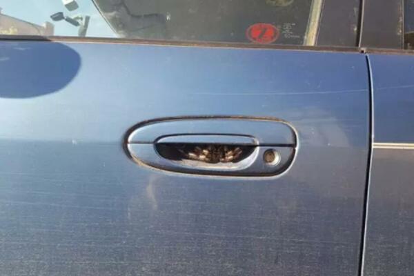 POKUŠALA JE DA OTVORI VRATA AUTA: U poslednjem trenutku je videla šta se nalazi unutra, ODMAH JU JE OBUZEO STRAH