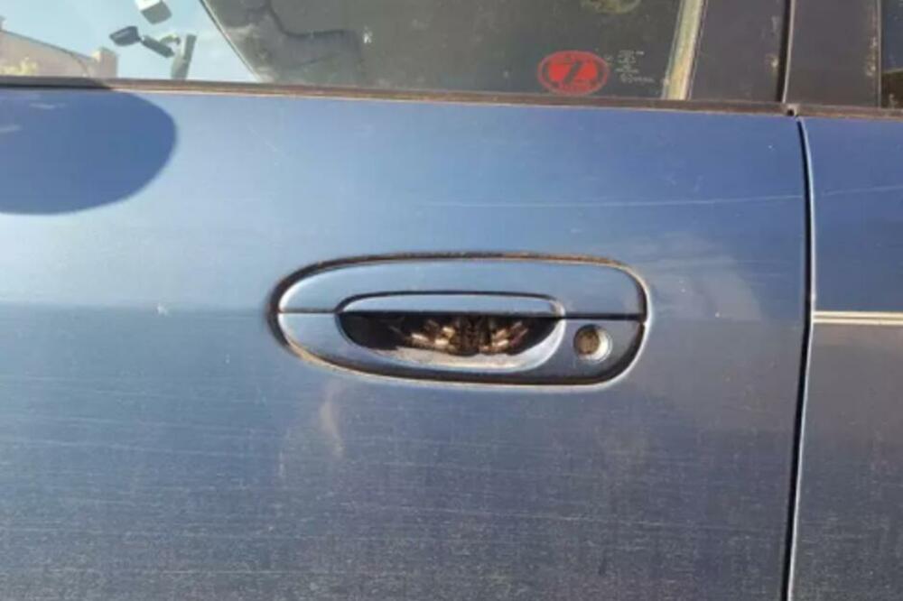 POKUŠALA JE DA OTVORI VRATA AUTA: U poslednjem trenutku je videla šta se nalazi unutra, ODMAH JU JE OBUZEO STRAH