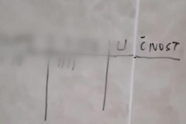 RECKE NA ZIDU TOALETA KRIJU STRAŠNU PRIČU! Momci iz novosadske gimnazije ZGROZILI JAVNOST (VIDEO)