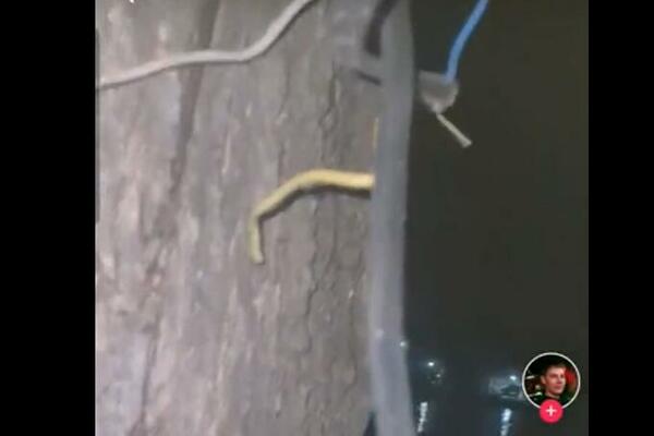 LUDI RUS ISEKAO STRUJU CELOM MUZIČKOM FESTIVALU: Sve je snimio, ovaj NIJE NORMALAN! (VIDEO)