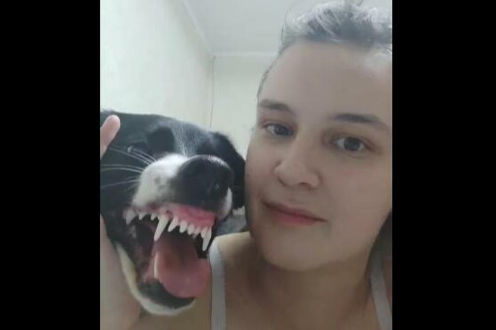 STRAVIČAN INCIDENT: Htela je da poljubi psa pred kamerom, on joj ISKIDAO LICE! (VIDEO)