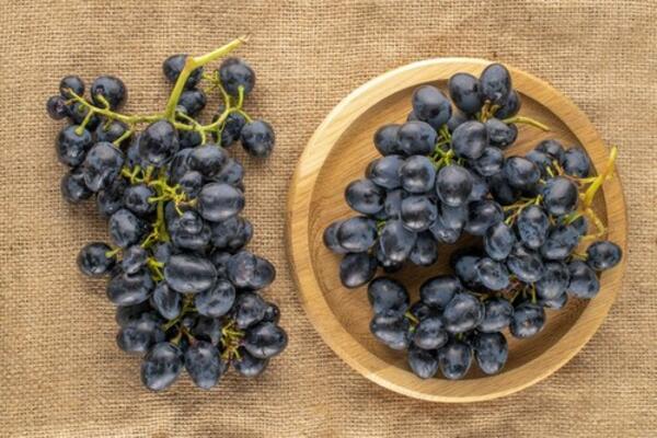 ZBOG OVIH RAZLOGA JEŠĆETE GROŽĐE SVAKI DAN: Pogledajte je koliko je neophodno za naše ZDRAVLJE