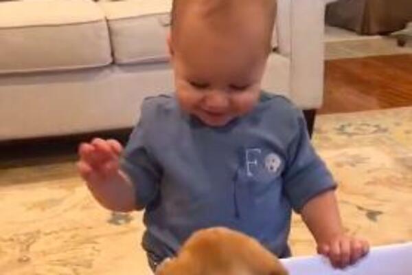 MALIŠAN DOBIO ŠTENE NA POKLON: Reakcija dečaka ODUŠEVILA ceo svet, PRESLATKO! (VIDEO)