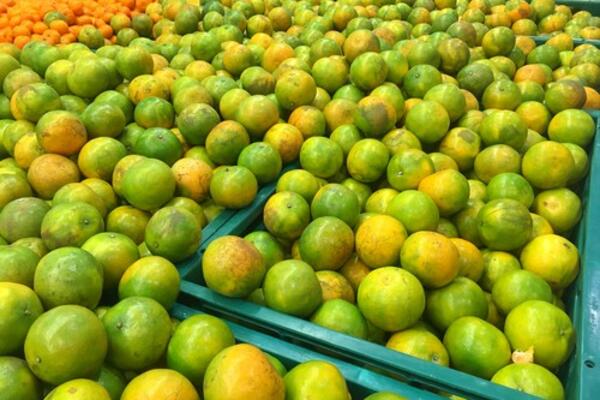 OVO SU OSNOVNE RAZLIKE IZMEĐU MANDARINA I KLEMENTINA! Jedna VOĆKA je ipak malo ZDRAVIJA od DRUGE (FOTO)
