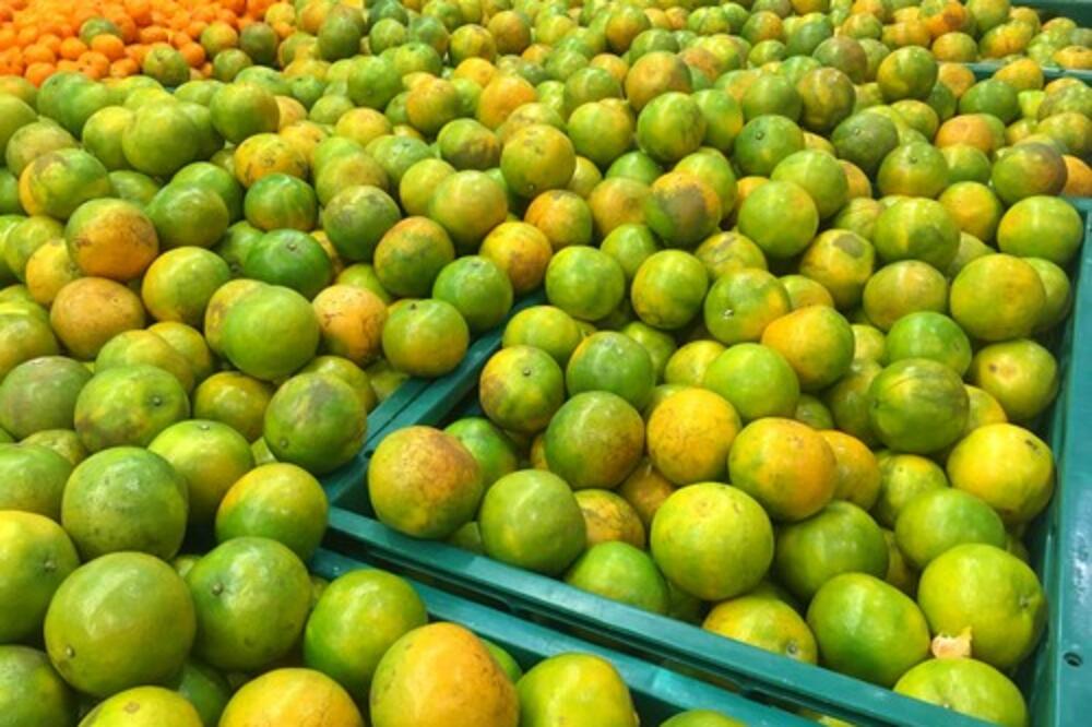 SMETE LI SE KLADITI DA ZNATE KOJA VOĆKA IMA NAJVIŠE VITAMINA C? NIJE ona na koju ste PRVO pomislili, bićete u šoku