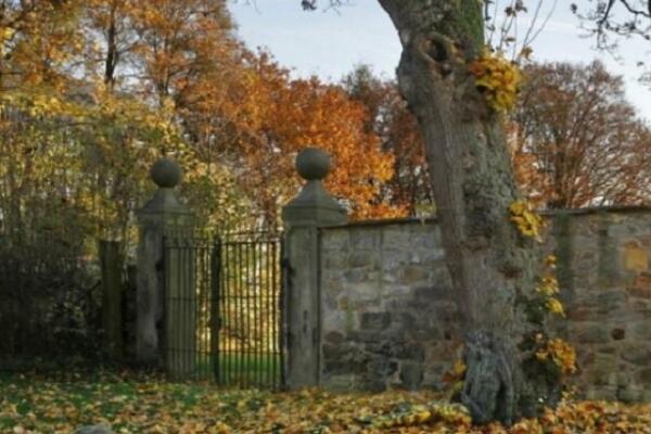 PRIMEĆUJETE LI ŽENU NA SLICI? Mozgalica koju je malo ko uspeo da reši! (FOTO)