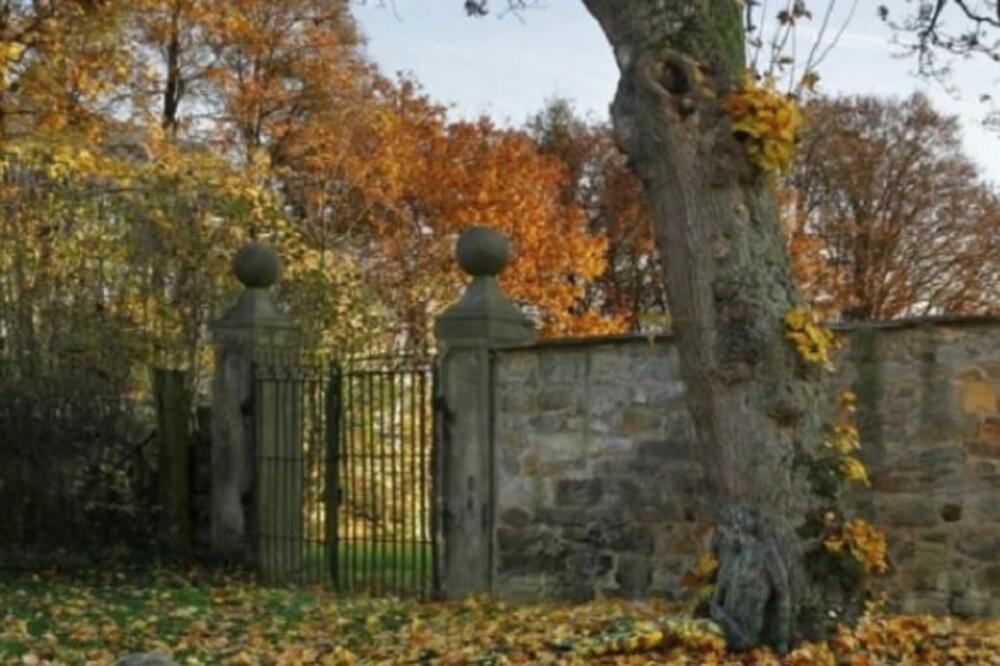 PRIMEĆUJETE LI ŽENU NA SLICI? Mozgalica koju je malo ko uspeo da reši! (FOTO)