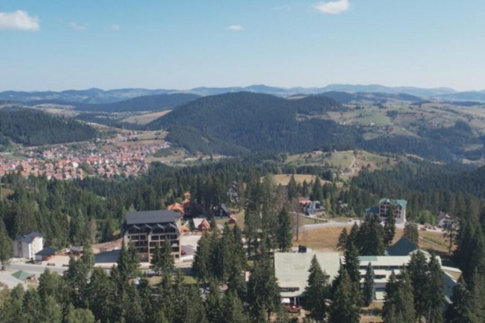 OD BERBE OVE BILJKE MNOGI SU NAPUNILI DŽEPOVE: Rod dobar, ali berači RAZOČARANI! Otkupna cena sa 420 na 280 dinara