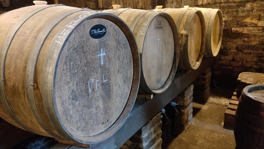 Subotica, Čuvardić, Vinski salaš