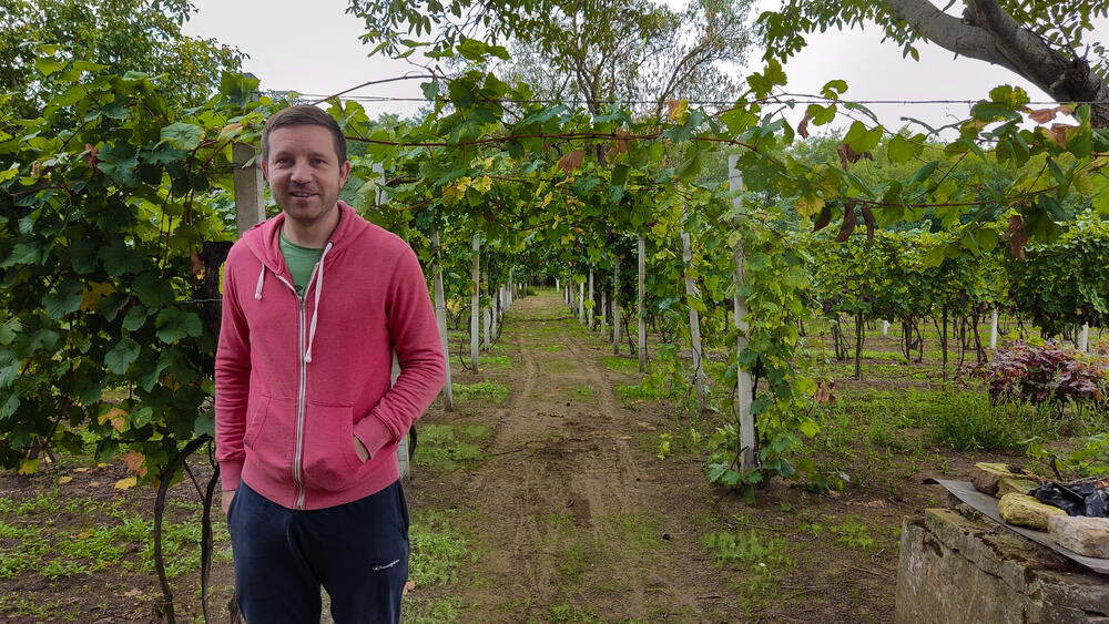 Miljan Poljaković u vinogradu