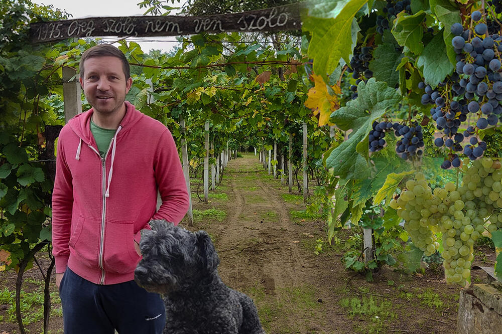 OTKRILI SMO TAJNE VINOVE LOZE U SUBOTICI! Čuvardići su nam objasnili kako se pravi VINO, bez LJUBAVI vam džaba SVE