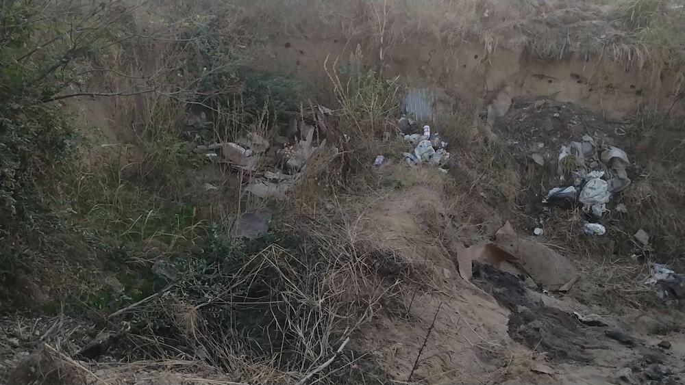 Aleksinac, Porodica Đokić