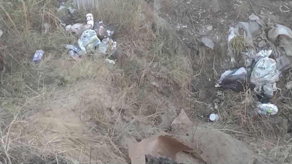 Aleksinac, Porodica Đokić