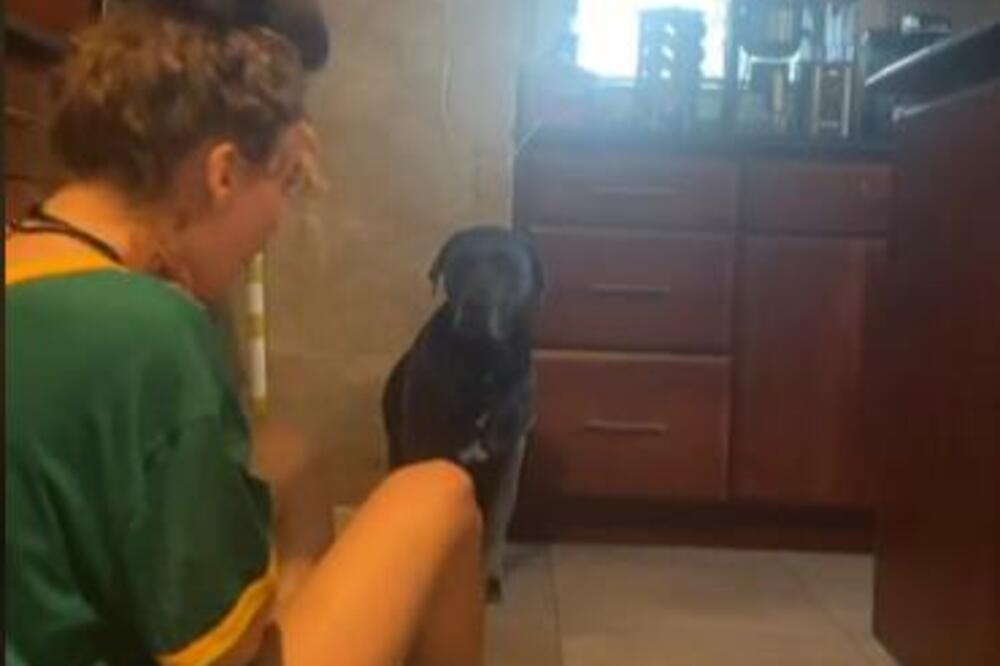 HELI ODGLUMILA PRED PSOM DA JE U OPASNOSTI: Njegova reakcija iznenadila sve! (VIDEO)