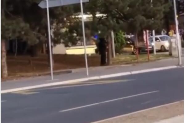 SNIMAK IZ NOVOG UGLA: Pomahnitali muškarac posle pucnjave uleteo u žbunje, policija svuda OKO NJEGA (VIDEO)