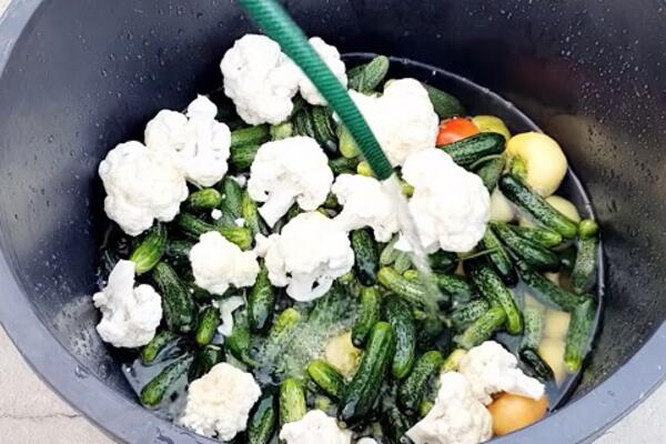 SRBI SE UVELIKO DAVE U TURŠIJI, A NE ZNAJU ŠTA JE OTKRIVENO O NJOJ: Lekari tvrde da nam radi OVU STVAR