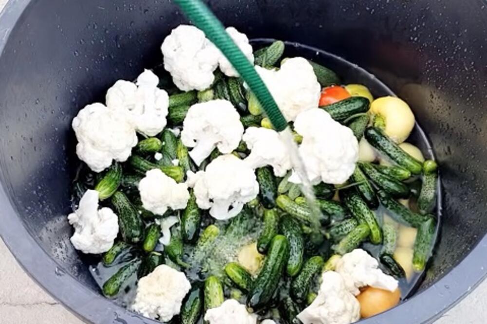 SRBI SE UVELIKO DAVE U TURŠIJI, A NE ZNAJU ŠTA JE OTKRIVENO O NJOJ: Lekari tvrde da nam radi OVU STVAR