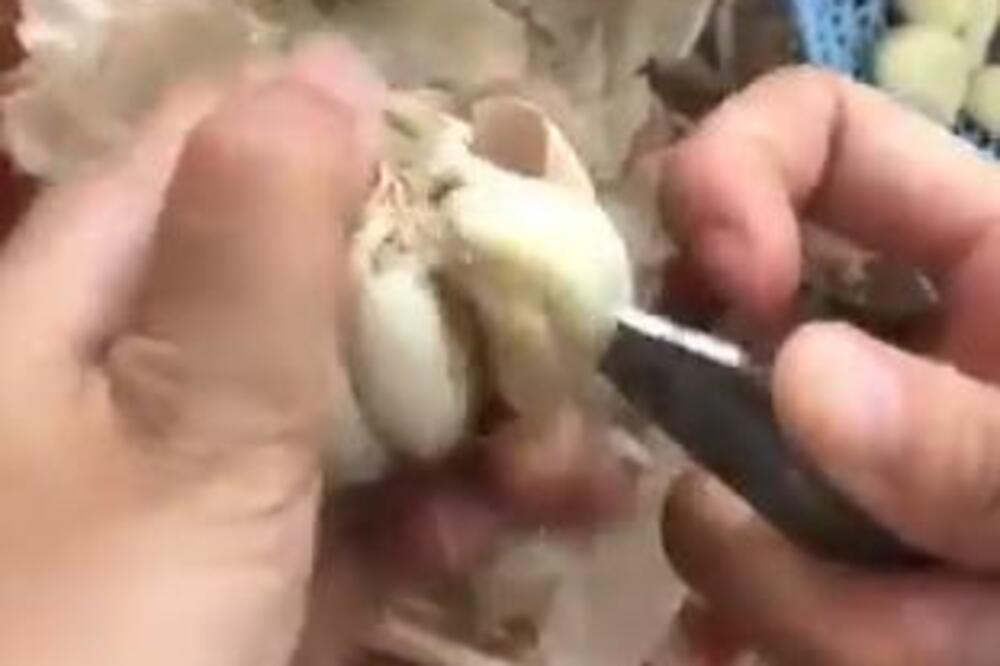 EVO KAKO DA SE OTARASITE NEPRIJATNOG MIRISA OD LUKA: Za to vam je potrebno samo ULJE (VIDEO)