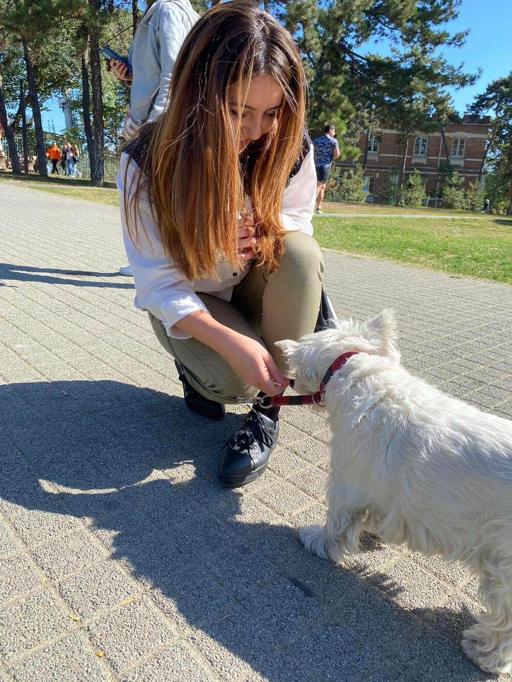 Pas, Espreso ljubimac