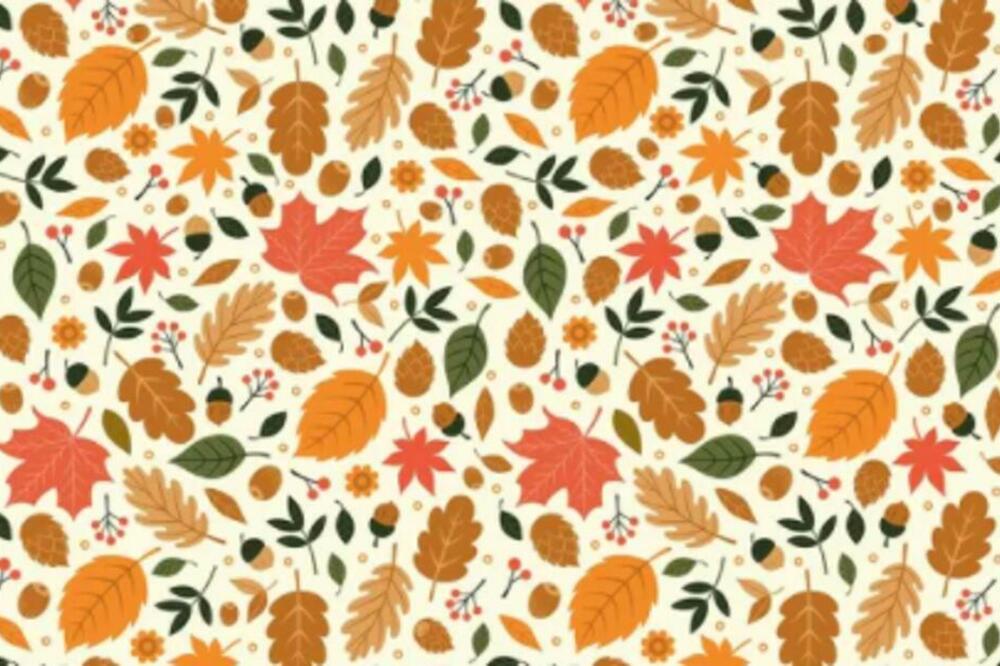 PRONAĆI JEŽA ZA MANJE OD 60 SEKUNDI IZGLEDA GOTOVO NEMOGUĆE: Okušajte se u mozgalici koja je ZALUDELA svet (FOTO)