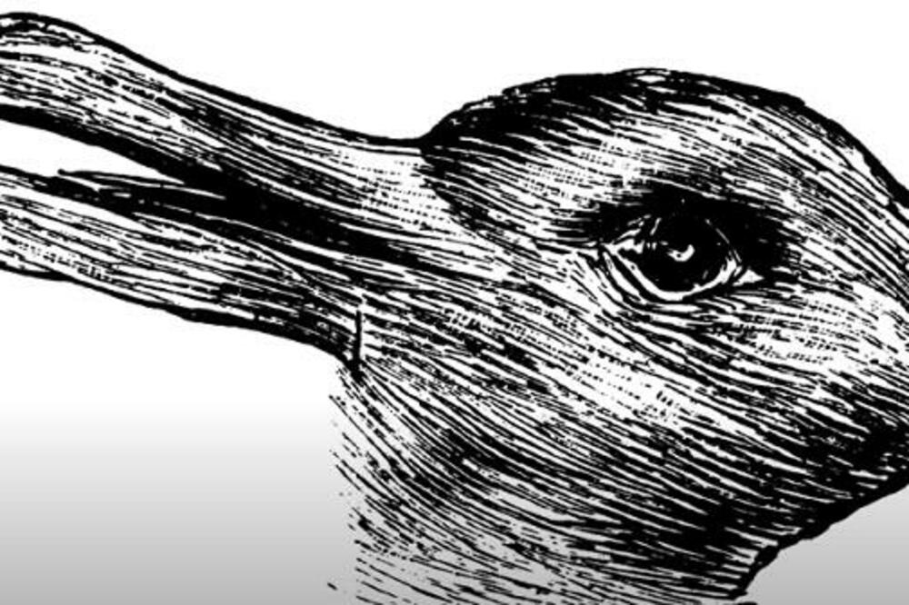 OVA SLIKA ZBUNILA JE MNOGE: Razmislite dvaput, šta ste prvo UGLEDALI? (FOTO)