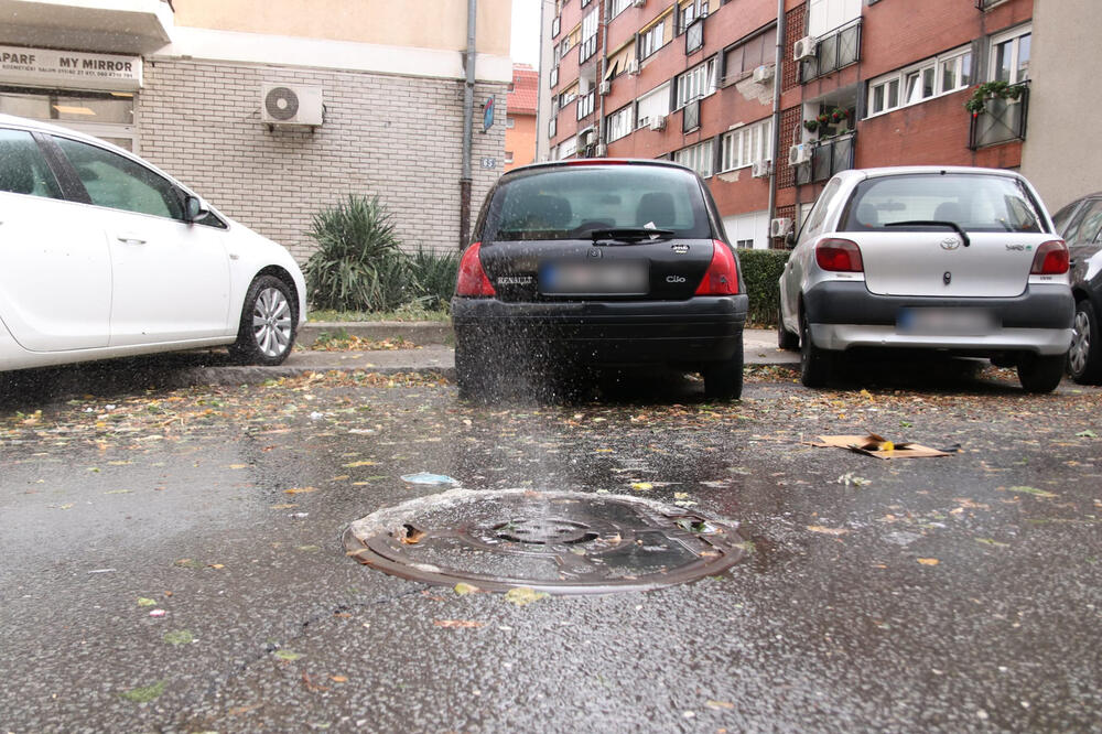 JASMINA JE IZ ŠAHTA U LESKOVCU ČULA ČUDAN ZVUK, PA UGLEDALA NJEGA! Njena hitna rekacija spasila ga SIGURNE SMRTI!