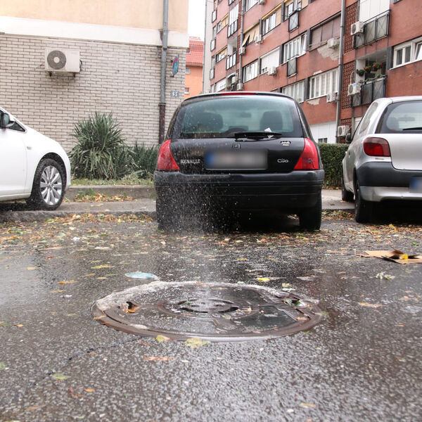 JASMINA JE IZ ŠAHTA U LESKOVCU ČULA ČUDAN ZVUK, PA UGLEDALA NJEGA! Njena hitna rekacija spasila ga SIGURNE SMRTI!
