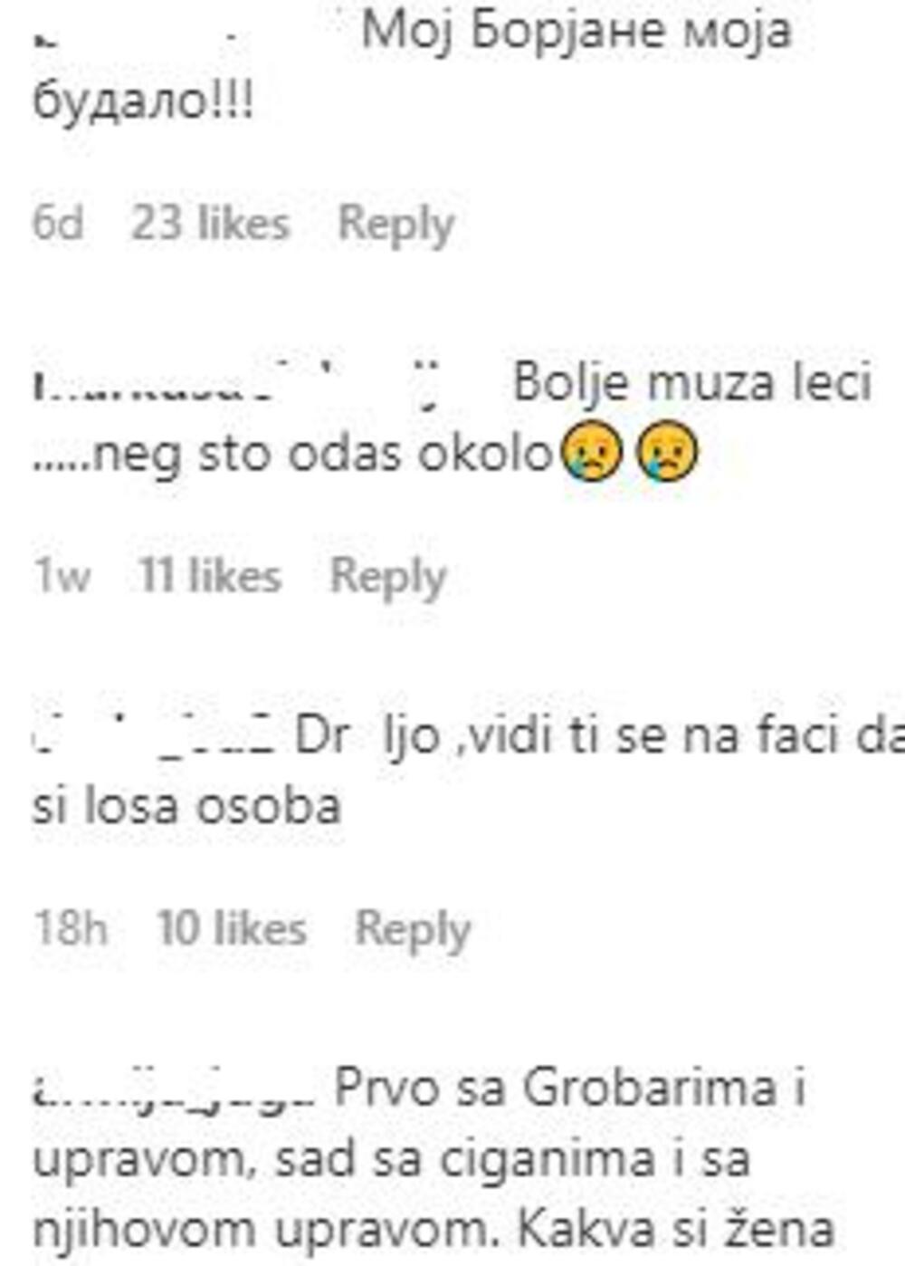 Snežana Borjan, Komentari