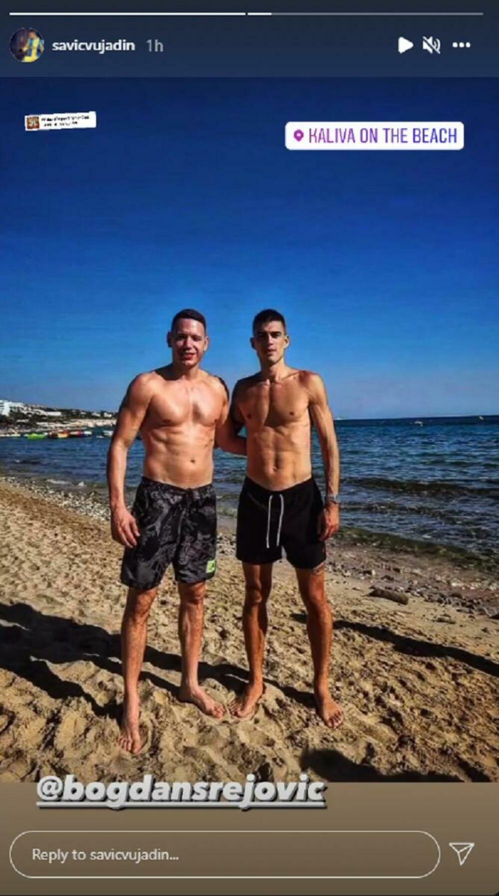 Vujadin Savić, Bogdan Srejović