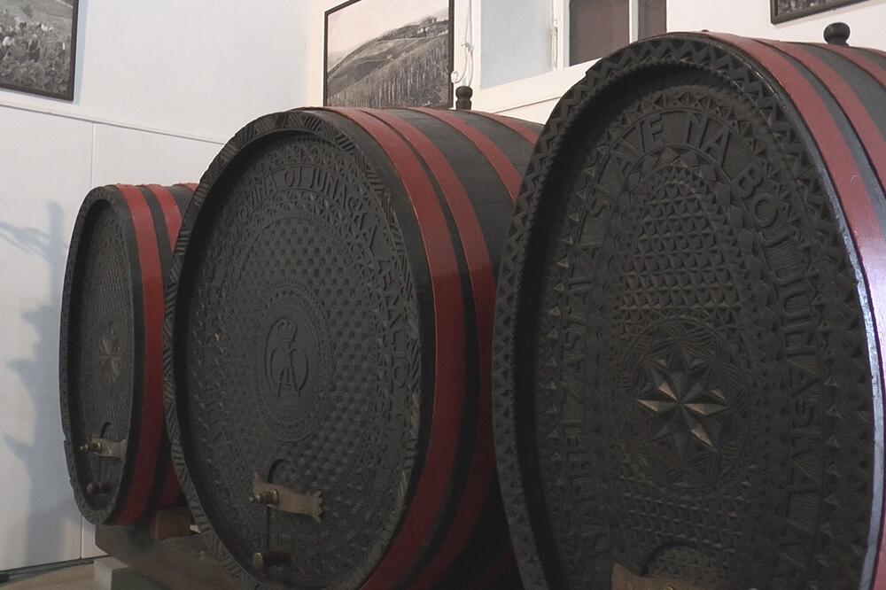 MLADI SE VRATILI U SRPSKE VINOGRADE! Dedino iskustvo i znanje sa fakulteta kao dobitna kombinacija