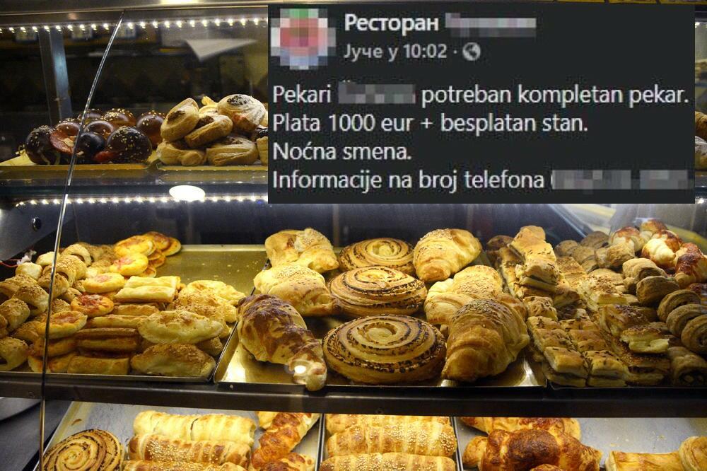 "NIJE PREVARA"! Vlasnik pekare u Beogradu nudi platu 1.000 evra i stan, a to nije jedina ponuda (FOTO)