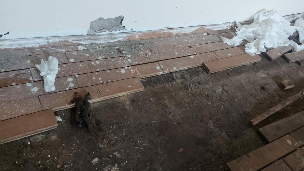 Šumska kuća, Ravna gora