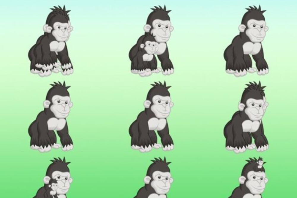 SVI POGREŠNO ODGOVORE: Dobro promislite koliko majmuna vidite na slici, HIT ZAGONETKA (FOTO)