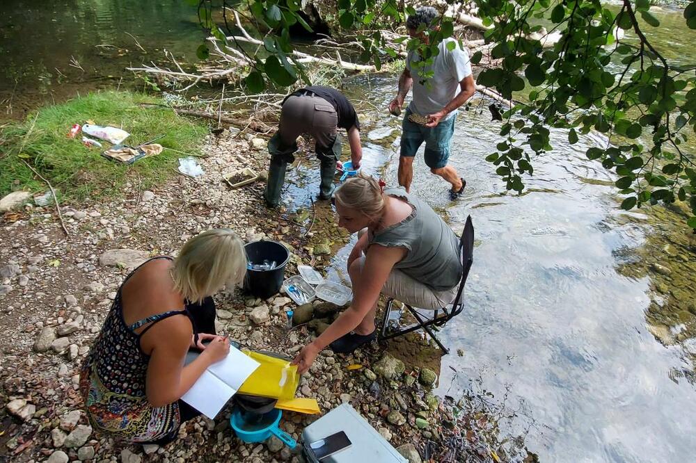 Bez prepreka za zaštitu: Zaustavljena i poslednja MHE na Velikom Rzavu