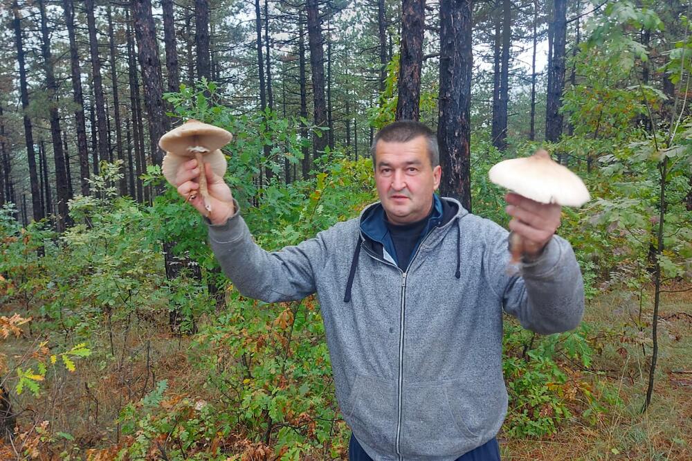 NIKADA NEĆETE POGODITI ŠTA NIČE NA RAVNOJ GORI: Važi za srpski delikates, a kvalitet je zagarantovan (FOTO)