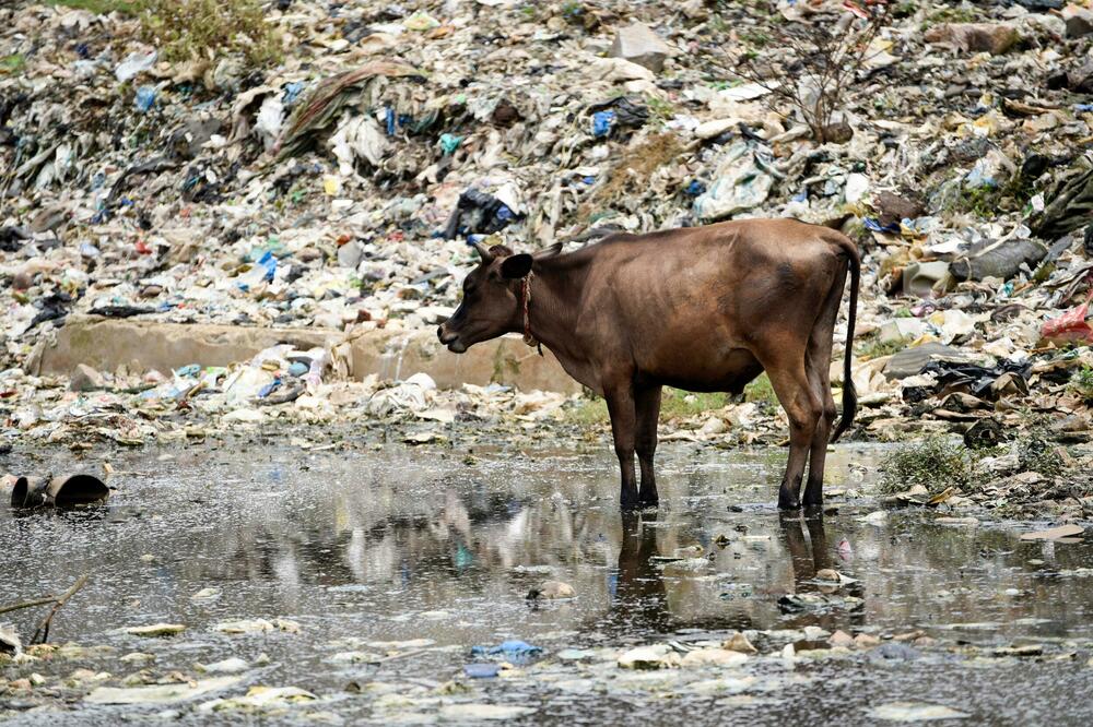 KATAKLIZMA U INDIJI: Pljuskovi izazvali KLIZIŠTE, nestalo više od 40 osoba, ima STRADALIH u stavičnim POPLAVAMA!