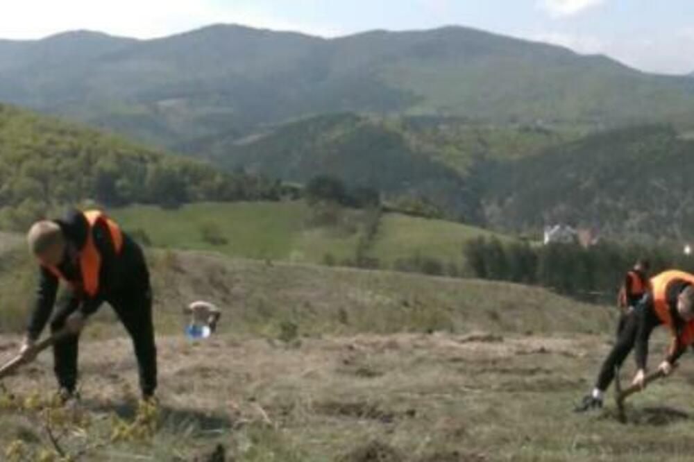 DECA U PROJEKTU ZASADI DRVO: Edukativne radionice, zabava i akcija koja ostaje u srcu