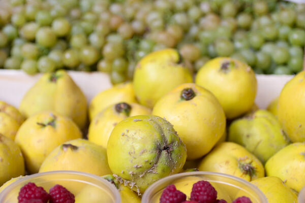 OVO VOĆE JE ZABORAVLJENO MEĐU SRBIMA: Niskokalorično je i bogato kalcijumom