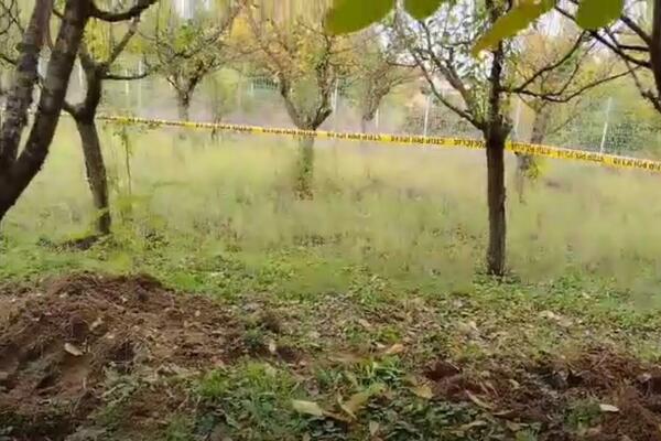 DŽONIĆ JE ZAKOPAO NOVAC BAŠ NA OVOM MESTU! Osumnjičeni za ubistvo porodice Đokić razotkriven (VIDEO)