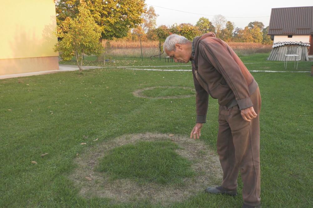 "MA KAKVE VILE I IGRANJE KOLA": Drago pokušava da reši misteriju KRUGOVA U SVOM DVORIŠTU (FOTO)