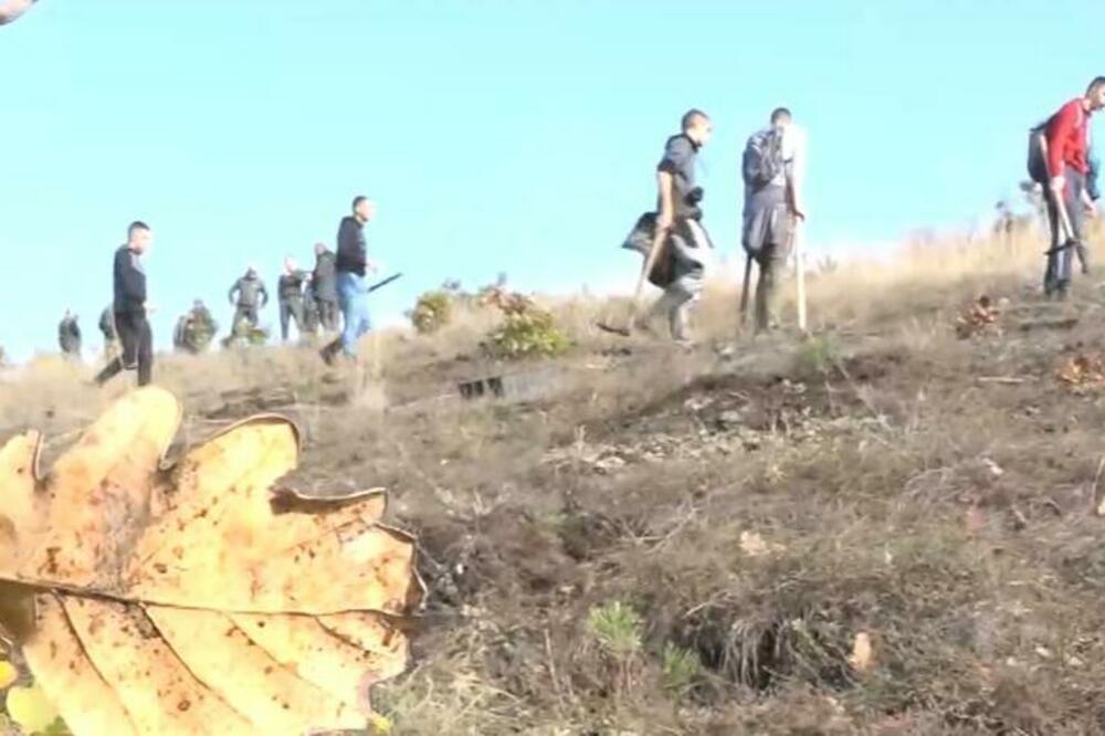 VAŽNA AKCIJA UČENIKA ŠUMARSKE ŠKOLE U KRALJEVU! Pošumljavanjem sprečavaju eroziju zemljišta posle razornog POŽARA