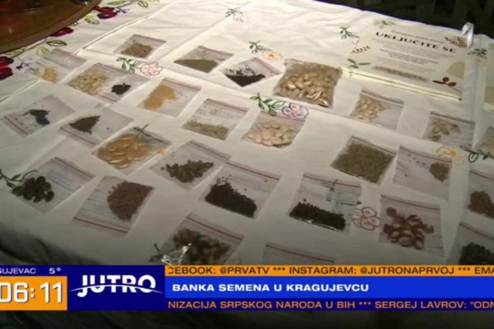 KRAGUJEVAC DOBIO NESVAKIDAŠNJU BANKU! Evo šta se u njoj ČUVA